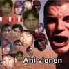 escarabajo_78