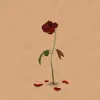 alencarxx._z