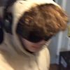 jarydooo