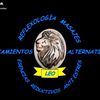 masajesleo