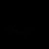 _februari29