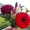 faysal0994