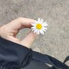 momyrifqi31