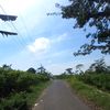 dindafebriyanti342