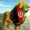 raeesafghan28