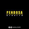 pendosa.breettd