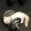 gymaddictjunior