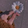 ziddi_khan943
