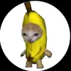 banana_cat_6