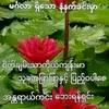 chohtwe002