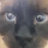 fl0ffe3