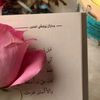 aaa_234566