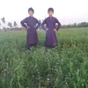 fazaljamil
