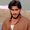 zaheerboxer313