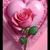 user4505540517545