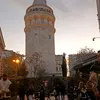 fatima.madani740