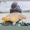 tch_carp.team