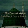 sajid03008