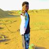 wadal53