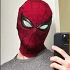 thespiderman.10