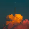 starlight_traveller