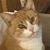 anthony01444