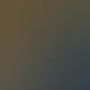 g_asmn