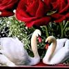 user981439814050