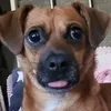 simoneloverio