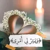 lavista059