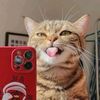 hallo.renzzz