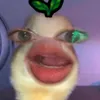 nylliah