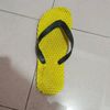 penyu0460