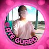 ate_guard