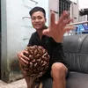 khang_nguyen.dl.47