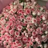 darhankyzy_02