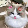 sybillakireyna02