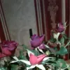 cristinahuluba986