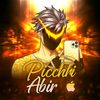 __picchi_abir_70__