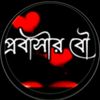 nasir_marina233