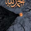 balidr9441