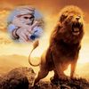 awaisgujjar52520
