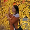 ng.nguyen00