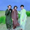 aftabmalang508