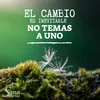 miguelangelmontivero0