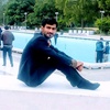 gull_bahar342