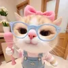 cahexanh99
