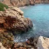 barafavoriterna
