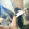 dy6tpdd2m6e3