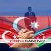 mehemmedsuleyman491